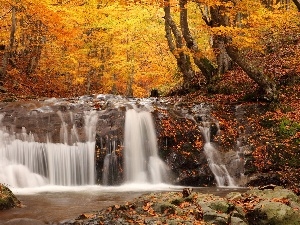 Leaf, waterfall, autumn, forest