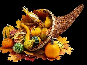 basket, Leaf, pumpkin