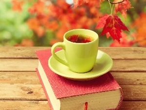 Leaf, Book, Autumn, cup, Bench, tea