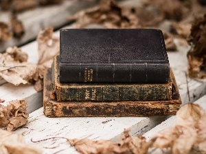 Bench, Leaf, Bible