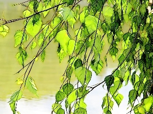 Leaf, Fractalius, birch-tree