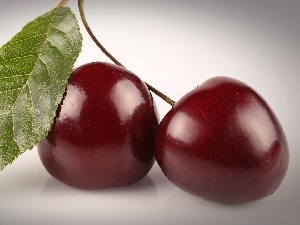 cherries, leaf, Two