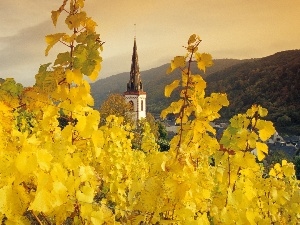 Leaf, viewes, Church, trees