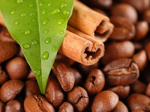 leaf, vanilla, grains, coffee