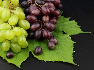 leaf, Grapes