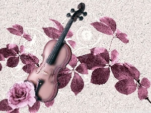 Leaf, rose, instruments, violin