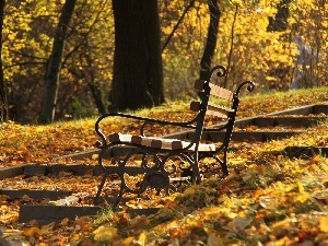 Leaf, autumn, Park, Bench