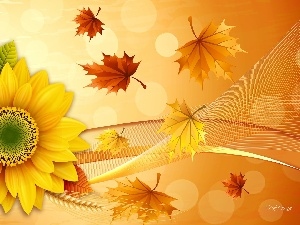Sunflower, Leaf, autumn
