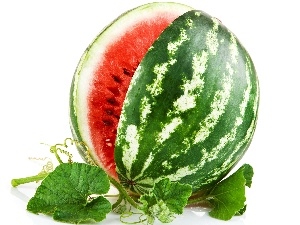Leaf, watermelon
