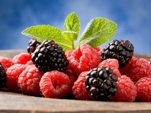 leaves, green ones, blackberries, raspberries