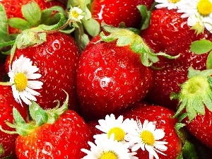 Flowers, leaves, strawberries