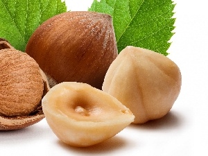 hazelnuts, leaves, nuts