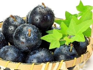 leaves, green ones, plums, basket