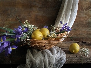 lemons, Irises, composition, Flowers