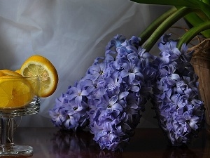 glass, lemons, Hyacinths