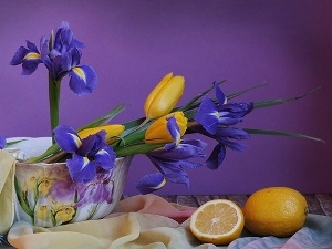 Tulips, lemons, Irises