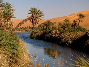 Libya, Desert, River, Palms