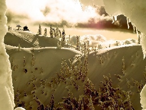 Lift, Spruces, winter, ski, Mountains