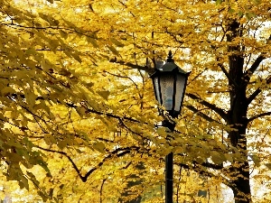 Lighthouse, Leaf, Yellow, Autumn