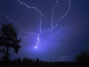 lightning, trees