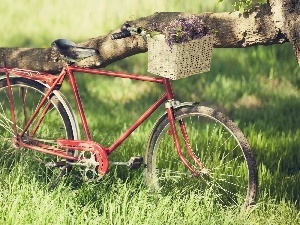 Lilacs, basket, Bike, Meadow