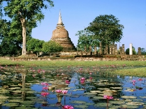 trees, lilies, water, ruins, viewes, Pond - car