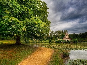 Water lilies, Park, Pond - car, trees, Path, viewes