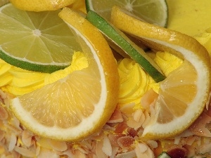 lemons, limes, slices