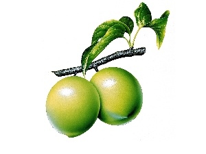 limes, Two