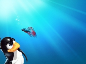 Linux, fighter, penguin, fish