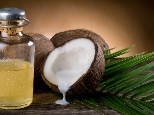 Liquid, bottle, Coconut, leaf