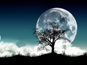 logo, Night, moon, Apple, trees