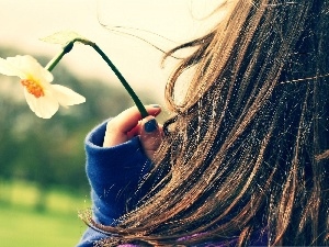 Longs, girl, spring, Hair, narcissus