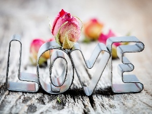 love, Flower, text, LOVE