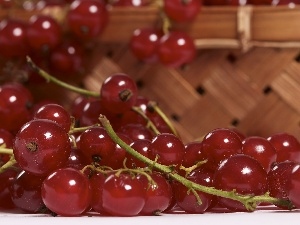 currants, Lubyanka, Red