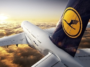 passenger, Lufthansa, plane