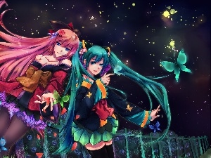 Luka, Miku