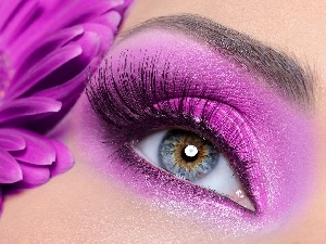 make-up, Gerbera, eye