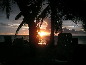 Maldives, Great Sunsets, sea, Palms