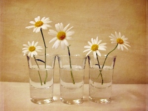 Margaret, White, Glass, water