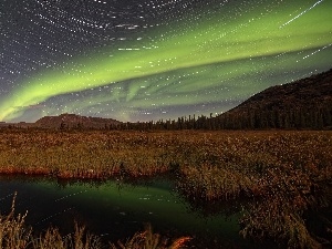 marshland, viewes, Mountains, trees