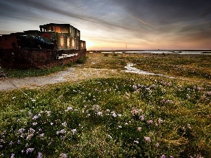 boat, Meadow, wreck