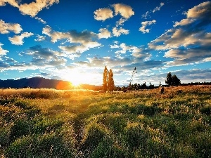 sunny, Meadow, Field, dark, rays, clouds, The Hills