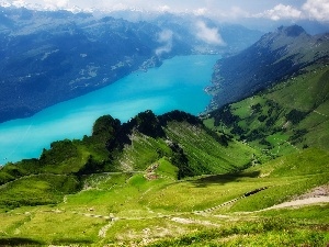 Meadow, lake, Mountains, forest