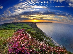 Meadow, Sky, sea, Coast