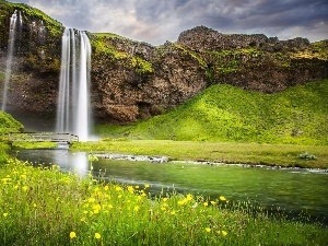 Spring, Meadow, bridges, waterfall, Flowers, rocks, brook