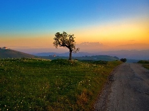 Meadow, hills, Way, trees