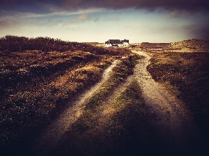 Way, Meadow, house