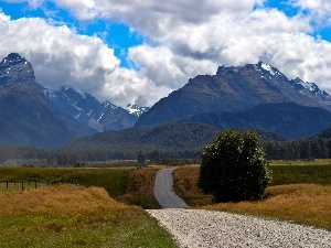 Way, Meadow, Mountains