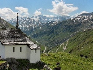 medows, roads, church, Cows, Mountains